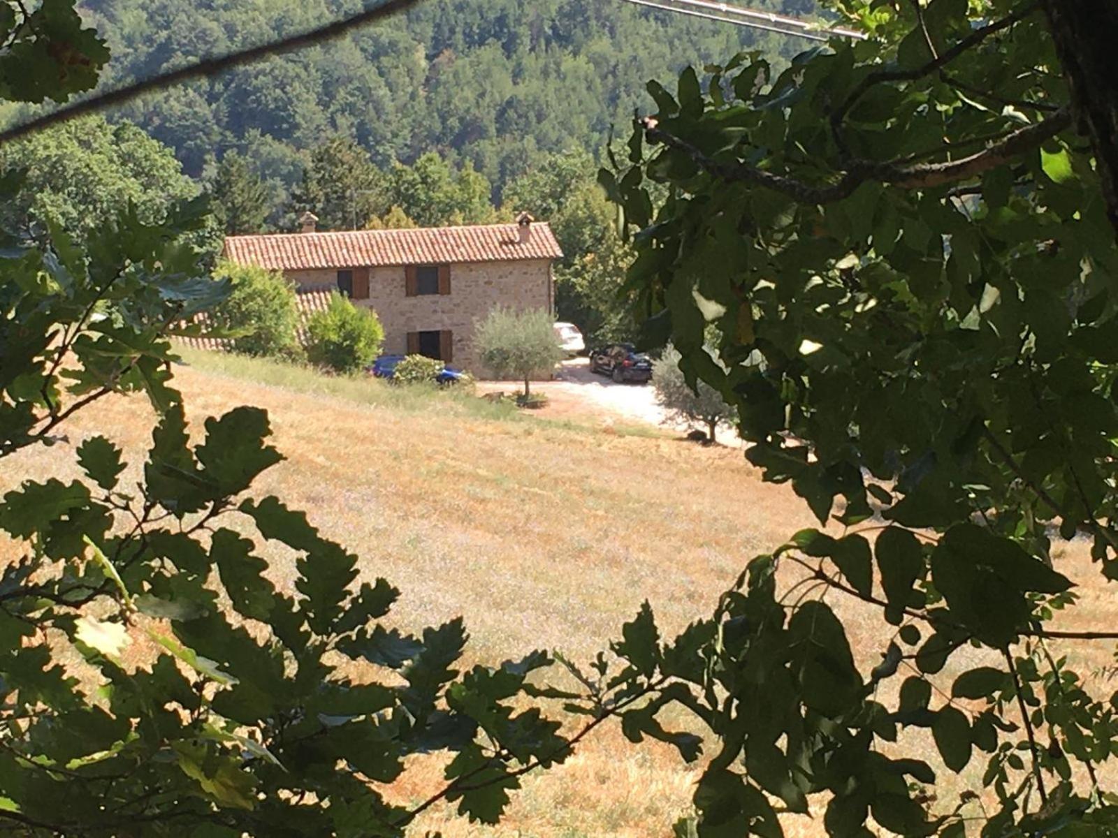 Agriturismo Casa Del Nonno Valfabbrica 外观 照片